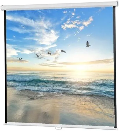 Projector Screen 72 Manual 6x6 Feet 1:1mw Speed X (Fine Quality)