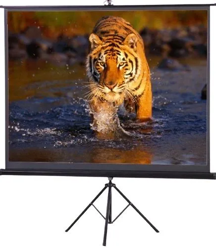 Speed-X Projector Screen 120 Inch G Tripod Portable 6x8 Feet 4:3mw